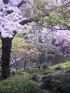 八芳園